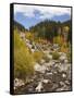 Alluvial Fan, Rocky Mountain National Park, Colorado, USA-Jamie & Judy Wild-Framed Stretched Canvas