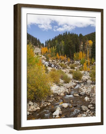 Alluvial Fan, Rocky Mountain National Park, Colorado, USA-Jamie & Judy Wild-Framed Premium Photographic Print