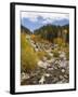 Alluvial Fan, Rocky Mountain National Park, Colorado, USA-Jamie & Judy Wild-Framed Premium Photographic Print