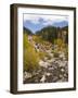 Alluvial Fan, Rocky Mountain National Park, Colorado, USA-Jamie & Judy Wild-Framed Photographic Print