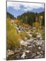 Alluvial Fan, Rocky Mountain National Park, Colorado, USA-Jamie & Judy Wild-Mounted Photographic Print