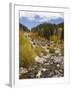 Alluvial Fan, Rocky Mountain National Park, Colorado, USA-Jamie & Judy Wild-Framed Photographic Print