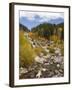 Alluvial Fan, Rocky Mountain National Park, Colorado, USA-Jamie & Judy Wild-Framed Photographic Print