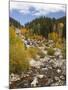 Alluvial Fan, Rocky Mountain National Park, Colorado, USA-Jamie & Judy Wild-Mounted Photographic Print