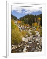 Alluvial Fan, Rocky Mountain National Park, Colorado, USA-Jamie & Judy Wild-Framed Photographic Print