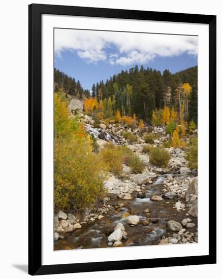 Alluvial Fan, Rocky Mountain National Park, Colorado, USA-Jamie & Judy Wild-Framed Photographic Print