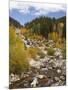 Alluvial Fan, Rocky Mountain National Park, Colorado, USA-Jamie & Judy Wild-Mounted Photographic Print