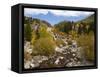 Alluvial Fan, Rocky Mountain National Park, Colorado, USA-Jamie & Judy Wild-Framed Stretched Canvas