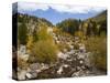 Alluvial Fan, Rocky Mountain National Park, Colorado, USA-Jamie & Judy Wild-Stretched Canvas