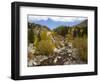 Alluvial Fan, Rocky Mountain National Park, Colorado, USA-Jamie & Judy Wild-Framed Photographic Print