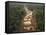 Alluvial Gold Mining in the Rainforest, Guyana-Pete Oxford-Framed Stretched Canvas