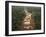 Alluvial Gold Mining in the Rainforest, Guyana-Pete Oxford-Framed Photographic Print