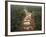 Alluvial Gold Mining in the Rainforest, Guyana-Pete Oxford-Framed Photographic Print