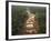 Alluvial Gold Mining in the Rainforest, Guyana-Pete Oxford-Framed Photographic Print