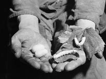 Man Holding Silkworms-Allyn Baum-Photographic Print