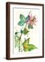 Brown Frame