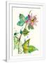 Gramercy White