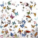 Flutter 3-Allyson Fukushima-Giclee Print