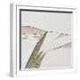 White Frame