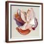 Brown Frame