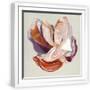 White Frame