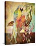 Macaw Cafe-Alma Lee-Stretched Canvas