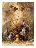 Pots and Quails-Alma Lee-Art Print