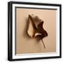 Black Frame