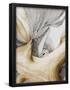 Essential Black