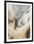 Gramercy Black