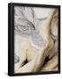 Essential Black