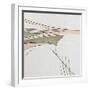 White Frame