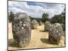 Almendres Cromlech Ancient Stone Circle. Portugal-Martin Zwick-Mounted Photographic Print