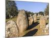 Almendres Cromlech Ancient Stone Circle. Portugal-Martin Zwick-Mounted Photographic Print