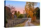 Stretched Canvas