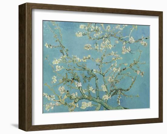 Almond Blossom, 1890-Vincent van Gogh-Framed Giclee Print