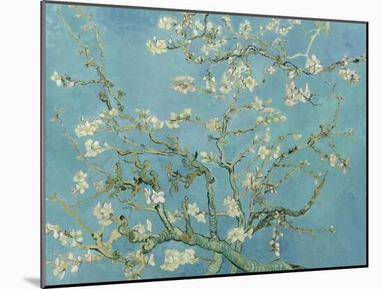 Almond Blossom, 1890-Vincent van Gogh-Mounted Giclee Print