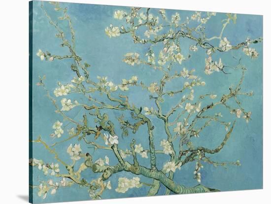 Almond Blossom, 1890-Vincent van Gogh-Stretched Canvas