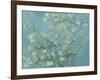 Almond Blossom, 1890-Vincent van Gogh-Framed Giclee Print