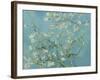 Almond Blossom, 1890-Vincent van Gogh-Framed Giclee Print