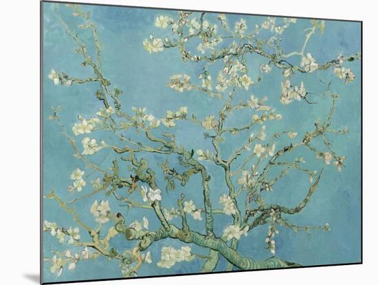 Almond Blossom, 1890-Vincent van Gogh-Mounted Giclee Print