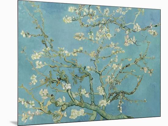 Almond Blossom, 1890-Vincent van Gogh-Mounted Giclee Print