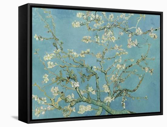 Almond Blossom, 1890-Vincent van Gogh-Framed Stretched Canvas