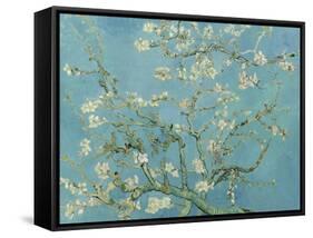 Almond Blossom, 1890-Vincent van Gogh-Framed Stretched Canvas