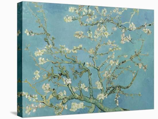 Almond Blossom, 1890-Vincent van Gogh-Stretched Canvas