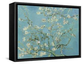 Almond Blossom, 1890-Vincent van Gogh-Framed Stretched Canvas