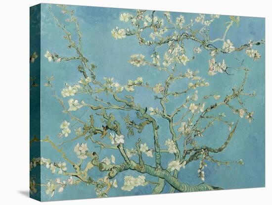 Almond Blossom, 1890-Vincent van Gogh-Stretched Canvas