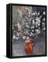 Almond Blossom, C.1925 (Oil on Canvas)-Louis Valtat-Framed Stretched Canvas