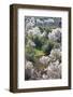 Almond Blossom, El-Kelaa M'Gouna, Morocco, North Africa, Africa-Doug Pearson-Framed Photographic Print