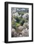 Almond Blossom, El-Kelaa M'Gouna, Morocco, North Africa, Africa-Doug Pearson-Framed Photographic Print